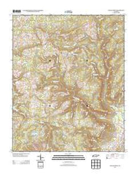 Savage Point Tennessee Historical topographic map, 1:24000 scale, 7.5 X 7.5 Minute, Year 2013
