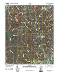 Seventeen Creek Tennessee Historical topographic map, 1:24000 scale, 7.5 X 7.5 Minute, Year 2010