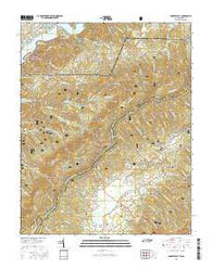 Shady Valley Tennessee Current topographic map, 1:24000 scale, 7.5 X 7.5 Minute, Year 2016