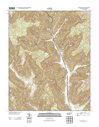 Sinking Cove Tennessee Historical topographic map, 1:24000 scale, 7.5 X 7.5 Minute, Year 2013