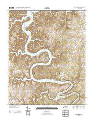 Sligo Bridge Tennessee Historical topographic map, 1:24000 scale, 7.5 X 7.5 Minute, Year 2013