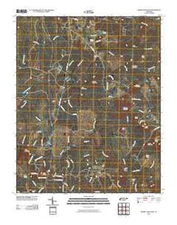Smartt Mountain Tennessee Historical topographic map, 1:24000 scale, 7.5 X 7.5 Minute, Year 2010