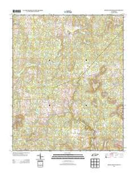 Smartt Mountain Tennessee Historical topographic map, 1:24000 scale, 7.5 X 7.5 Minute, Year 2013