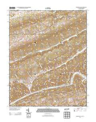 Sneedville Tennessee Historical topographic map, 1:24000 scale, 7.5 X 7.5 Minute, Year 2013