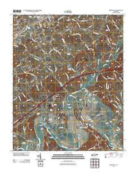 Springvale Tennessee Historical topographic map, 1:24000 scale, 7.5 X 7.5 Minute, Year 2011