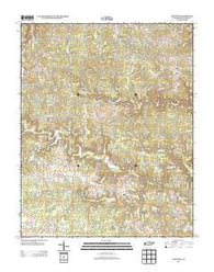 Stockton Tennessee Historical topographic map, 1:24000 scale, 7.5 X 7.5 Minute, Year 2013