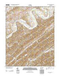 Stony Point Tennessee Historical topographic map, 1:24000 scale, 7.5 X 7.5 Minute, Year 2013
