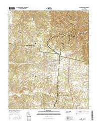 Summertown Tennessee Current topographic map, 1:24000 scale, 7.5 X 7.5 Minute, Year 2016