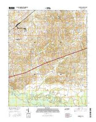 Sunnyhill Tennessee Current topographic map, 1:24000 scale, 7.5 X 7.5 Minute, Year 2016