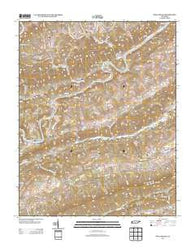 Swan Island Tennessee Historical topographic map, 1:24000 scale, 7.5 X 7.5 Minute, Year 2013