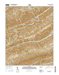 Swan Island Tennessee Current topographic map, 1:24000 scale, 7.5 X 7.5 Minute, Year 2016