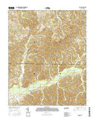 Teague Tennessee Current topographic map, 1:24000 scale, 7.5 X 7.5 Minute, Year 2016