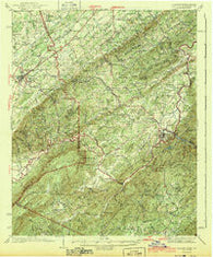 Tellico Tennessee Historical topographic map, 1:62500 scale, 15 X 15 Minute, Year 1943