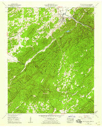 Tellico Plains Tennessee Historical topographic map, 1:24000 scale, 7.5 X 7.5 Minute, Year 1957