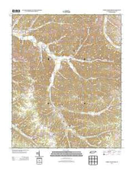 Three Churches Tennessee Historical topographic map, 1:24000 scale, 7.5 X 7.5 Minute, Year 2013