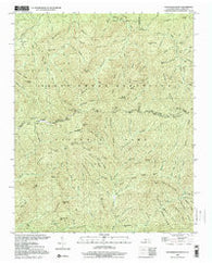 Thunderhead Mtn North Carolina Historical topographic map, 1:24000 scale, 7.5 X 7.5 Minute, Year 2000