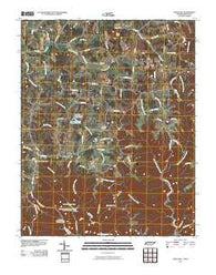 Union Hill Tennessee Historical topographic map, 1:24000 scale, 7.5 X 7.5 Minute, Year 2010