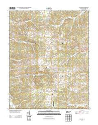 Vanleer Tennessee Historical topographic map, 1:24000 scale, 7.5 X 7.5 Minute, Year 2013