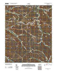 Waynesboro East Tennessee Historical topographic map, 1:24000 scale, 7.5 X 7.5 Minute, Year 2010