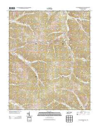 Waynesboro East Tennessee Historical topographic map, 1:24000 scale, 7.5 X 7.5 Minute, Year 2013