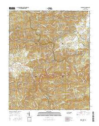 Wear Cove Tennessee Current topographic map, 1:24000 scale, 7.5 X 7.5 Minute, Year 2016
