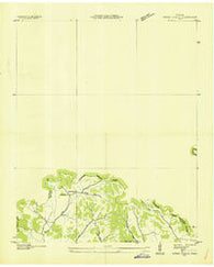 Webbs Jungle Tennessee Historical topographic map, 1:24000 scale, 7.5 X 7.5 Minute, Year 1936