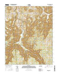 Welchland Tennessee Current topographic map, 1:24000 scale, 7.5 X 7.5 Minute, Year 2016