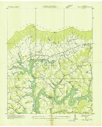 Well Spring Tennessee Historical topographic map, 1:24000 scale, 7.5 X 7.5 Minute, Year 1935