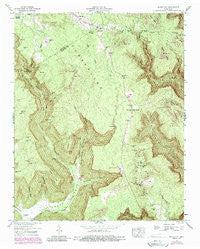 White City Tennessee Historical topographic map, 1:24000 scale, 7.5 X 7.5 Minute, Year 1947