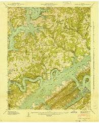 White Hollow Tennessee Historical topographic map, 1:24000 scale, 7.5 X 7.5 Minute, Year 1941