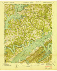 White Hollow Tennessee Historical topographic map, 1:24000 scale, 7.5 X 7.5 Minute, Year 1941