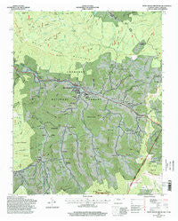 White Rocks Mountain Tennessee Historical topographic map, 1:24000 scale, 7.5 X 7.5 Minute, Year 1994