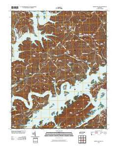 White Hollow Tennessee Historical topographic map, 1:24000 scale, 7.5 X 7.5 Minute, Year 2010
