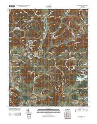 Williamsport Tennessee Historical topographic map, 1:24000 scale, 7.5 X 7.5 Minute, Year 2010