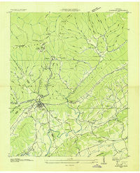 Windrock Tennessee Historical topographic map, 1:24000 scale, 7.5 X 7.5 Minute, Year 1936