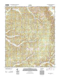 Wolf Pit Ridge Tennessee Historical topographic map, 1:24000 scale, 7.5 X 7.5 Minute, Year 2013