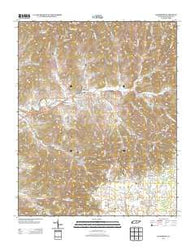 Woodbury Tennessee Historical topographic map, 1:24000 scale, 7.5 X 7.5 Minute, Year 2013