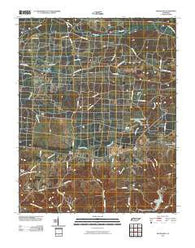 Woodlawn Tennessee Historical topographic map, 1:24000 scale, 7.5 X 7.5 Minute, Year 2010