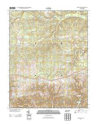Woodlawn Tennessee Historical topographic map, 1:24000 scale, 7.5 X 7.5 Minute, Year 2013