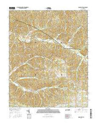 Woolworth Tennessee Current topographic map, 1:24000 scale, 7.5 X 7.5 Minute, Year 2016