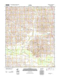 Yorkville Tennessee Historical topographic map, 1:24000 scale, 7.5 X 7.5 Minute, Year 2013