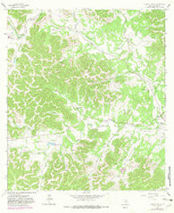 A Bar A Ranch Texas Historical topographic map, 1:24000 scale, 7.5 X 7.5 Minute, Year 1964