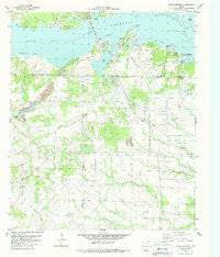 Ables Springs Texas Historical topographic map, 1:24000 scale, 7.5 X 7.5 Minute, Year 1979