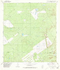 Agua Azul Creek East Texas Historical topographic map, 1:24000 scale, 7.5 X 7.5 Minute, Year 1980