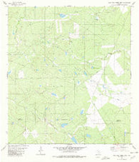 Agua Azul Creek West Texas Historical topographic map, 1:24000 scale, 7.5 X 7.5 Minute, Year 1980