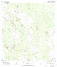 Agua Nueva Texas Historical topographic map, 1:24000 scale, 7.5 X 7.5 Minute, Year 1972