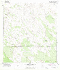 Agua Nueva SE Texas Historical topographic map, 1:24000 scale, 7.5 X 7.5 Minute, Year 1972