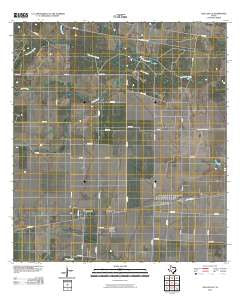 Agua Dulce Texas Historical topographic map, 1:24000 scale, 7.5 X 7.5 Minute, Year 2010