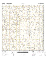 Agua Nueva NW Texas Current topographic map, 1:24000 scale, 7.5 X 7.5 Minute, Year 2016