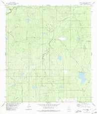 Alamito Creek Texas Historical topographic map, 1:24000 scale, 7.5 X 7.5 Minute, Year 1980